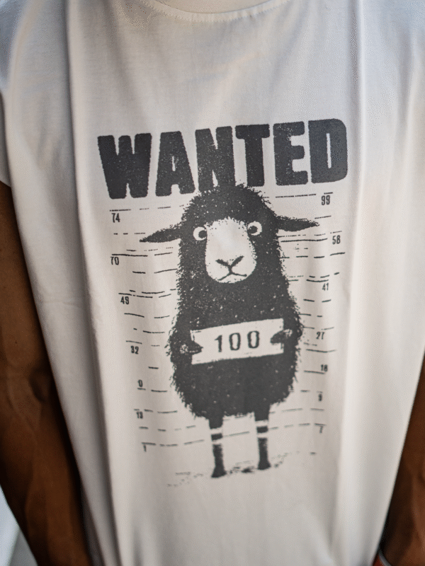 وست طرح Wanted - Image 4